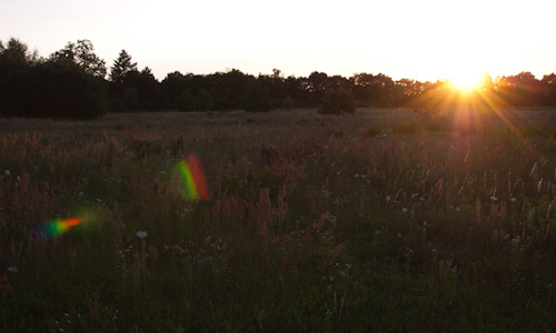 Abendspaziergang01